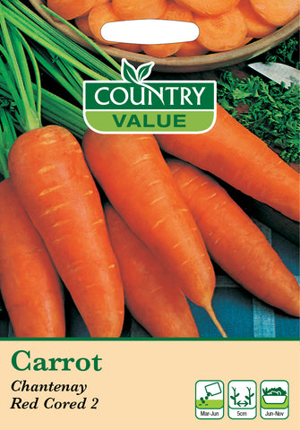 Carrot - Chantenay Red Cored