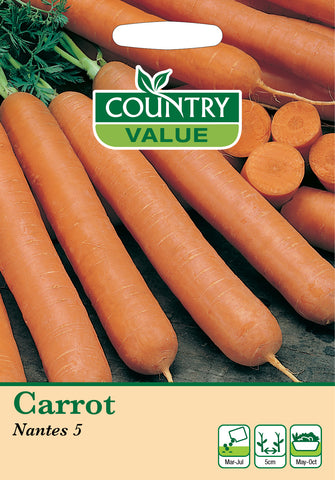 Carrot - Nantes 5