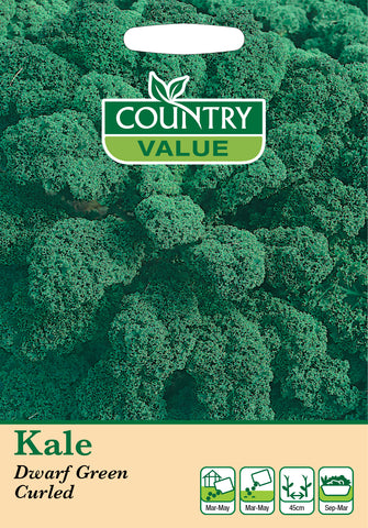 Kale - Dwarf Green Curled