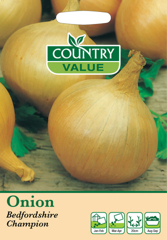 Onion - Bedfordshire Champion