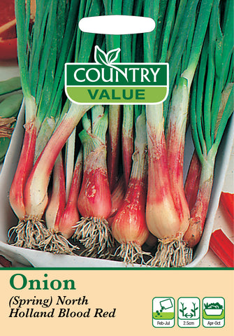 Onion - (Spring) North Holland Blood Red