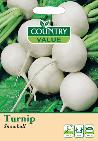 Turnip - Snowball