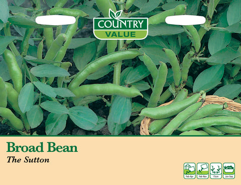 Broad Bean - The Sutton