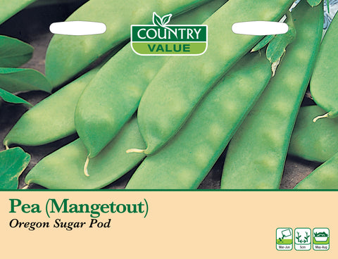 Pea (Mangetout) - Oregon Sugar Pod