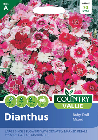 Dianthus - Baby Doll Mixed