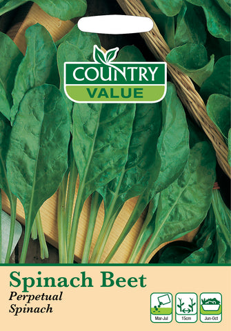 Spinach Beet - Perpetual Spinach