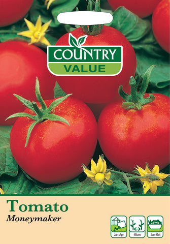 Tomato - Moneymaker