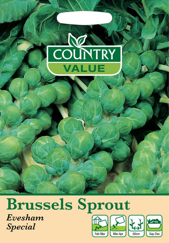 Brussels - Sprout Evesham Special