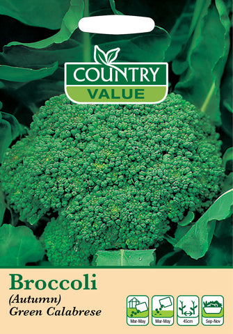 Broccoli - (Autumn) Green Calabrese