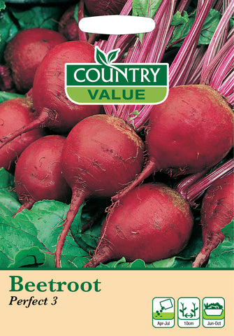 Beetroot - Perfect 3