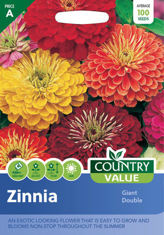 Zinnia Giant Double Country Value Flower Seeds