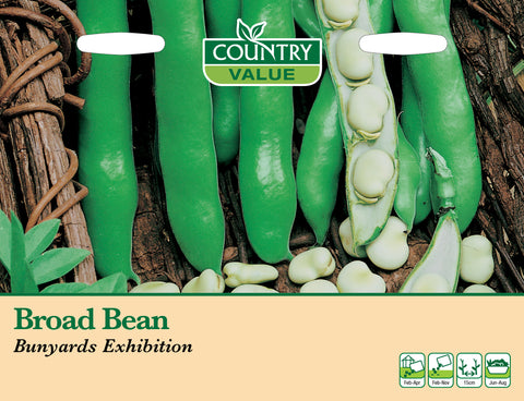 Broad Bean - Bunyards Exhibition