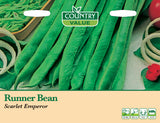 Runner Bean - Scarlet Emperor