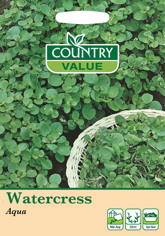 Watercress - Aqua