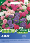 Aster Colour Carpet Mixed