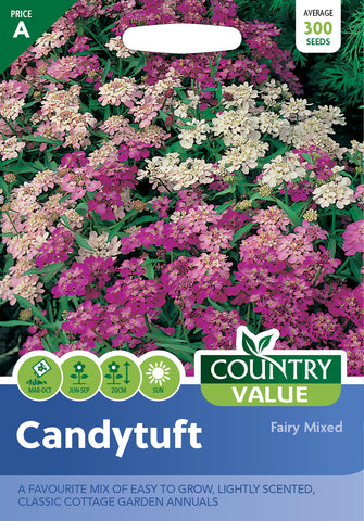 Candytuft Fairy Mixed Seeds