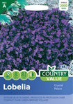 Lobelia - Crystal Palace