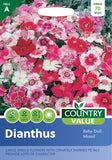 Dianthus - Baby Doll Mixed