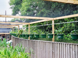 Hanging Baskets